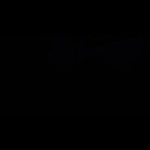 Meet your Posher, Donald